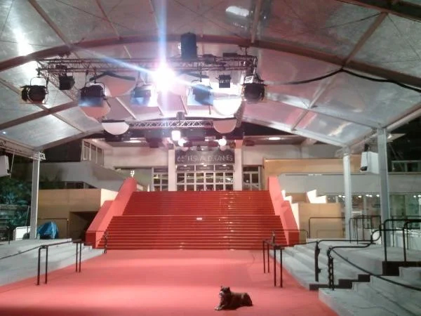 discover Cannes