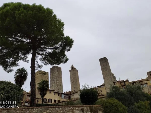 Half day San Gimignano Orientation Tour