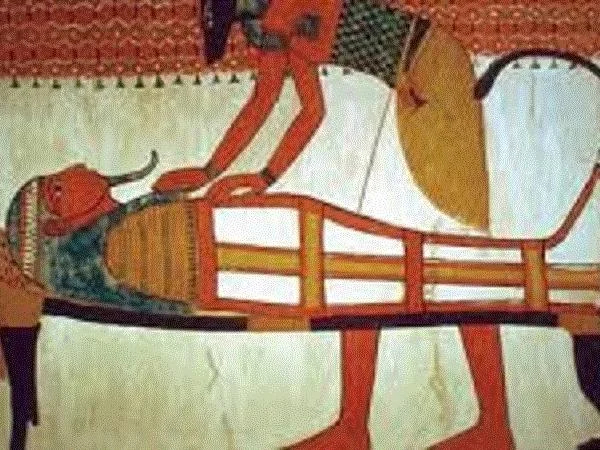 Luxor and Mummification museums in a half day tour