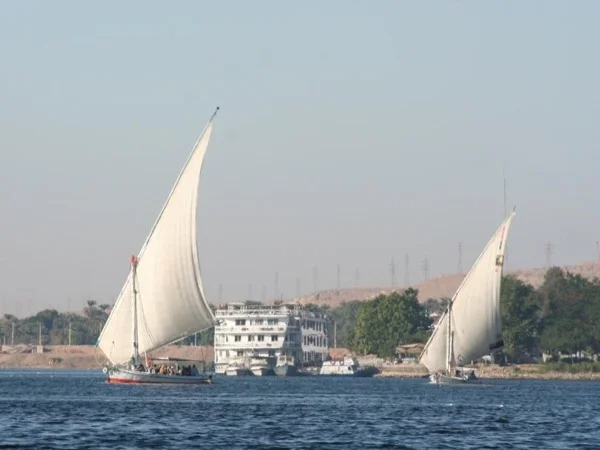 Felucca Sail boat trip