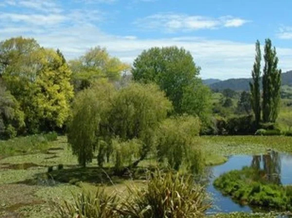 Cover media image