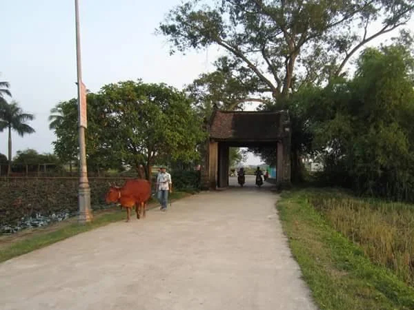 Duong Lam Old village Day Trip from Hanoi