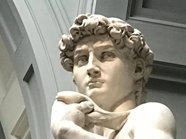 Accademia museum+highlights
