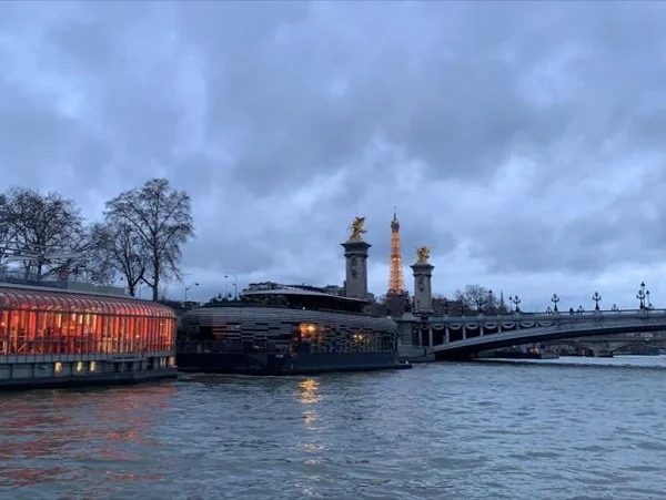 Paris By Day or Night Private Guided Tour With Private Driver
