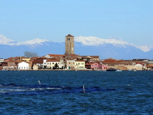 Cover media image