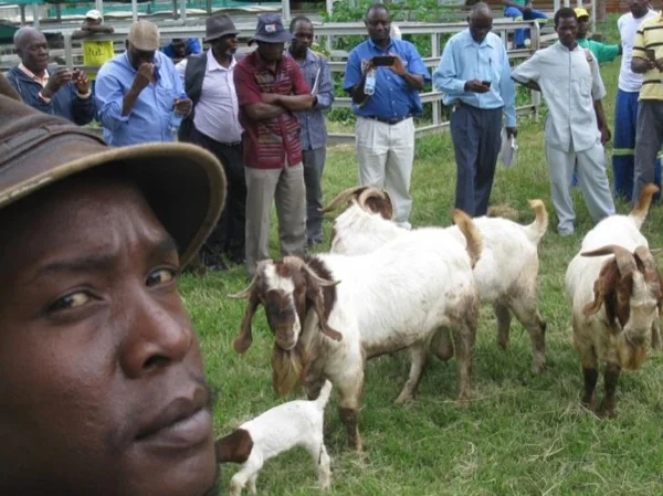Zimbabwe Agricultural Travel