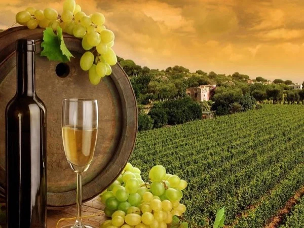 Chianti Wine Tour - Shore Excursion From La Spezia Port