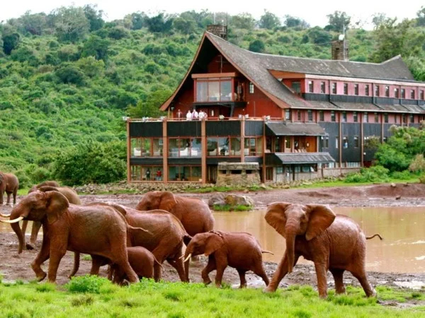 Two nights private Safari to Aberdares & Nanyuki.