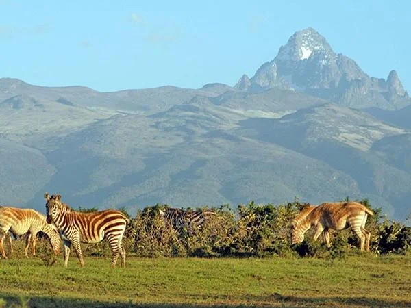 Two Days safari in Nanyuki with a private Guide