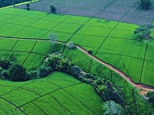 Scenic private tour to the Great Rift valley view point