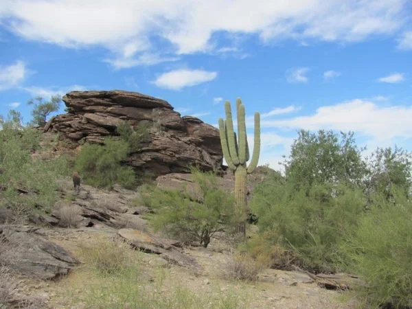 Phoenix City Driving and Hiking Combo Tour