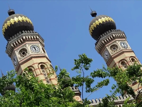 Cover media image