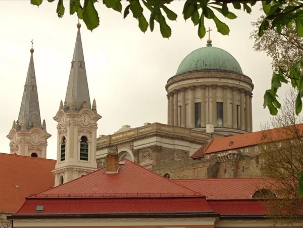 Cover media image
