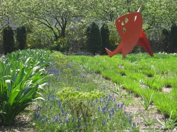 Chicago Walking Tour: Northside Neighborhood