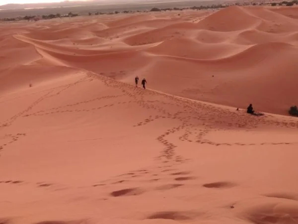 The highlights of Morocco from Casablanca for 6 days - Multi-day Tour