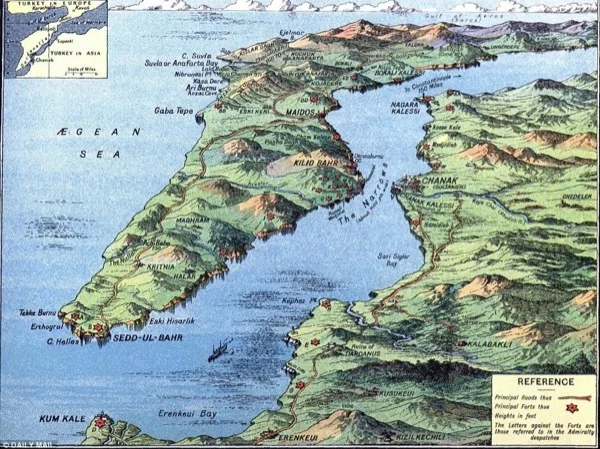 Cover media image