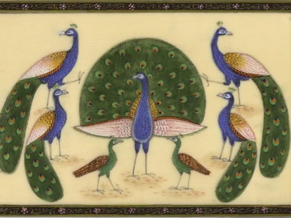 Cover media image