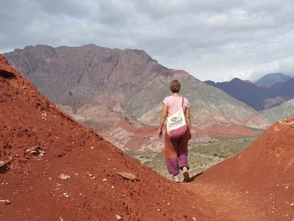 Cafayate Full Day Tour with Transportation