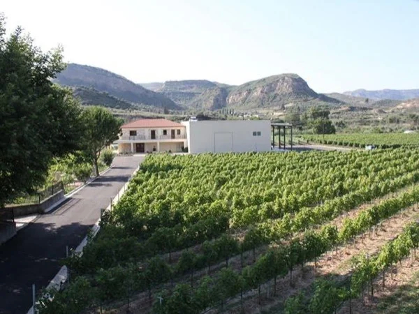 Olympia, Winery, Olive Press and Seaside Half Day Tour