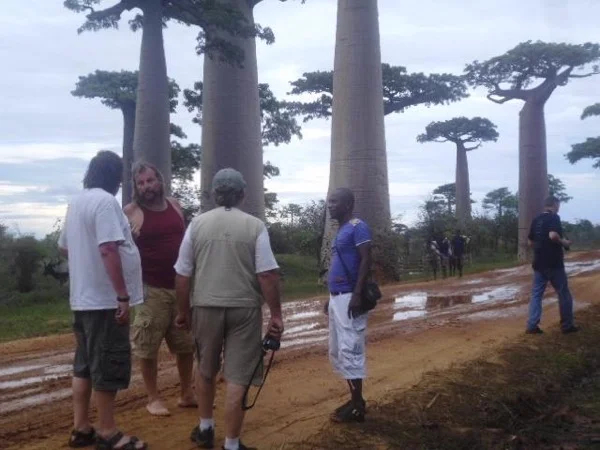 Baobab avenue in Morondava - Private tour