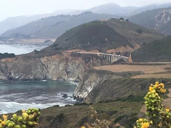 Full Day Excursion to Monterey and Carmel with Private Guide and Transportation