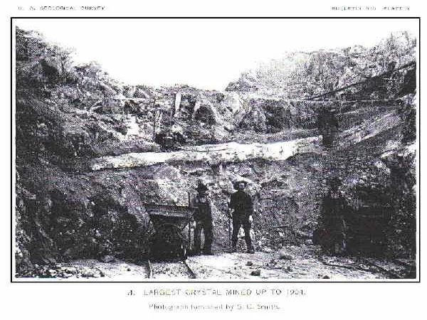 Cover media image