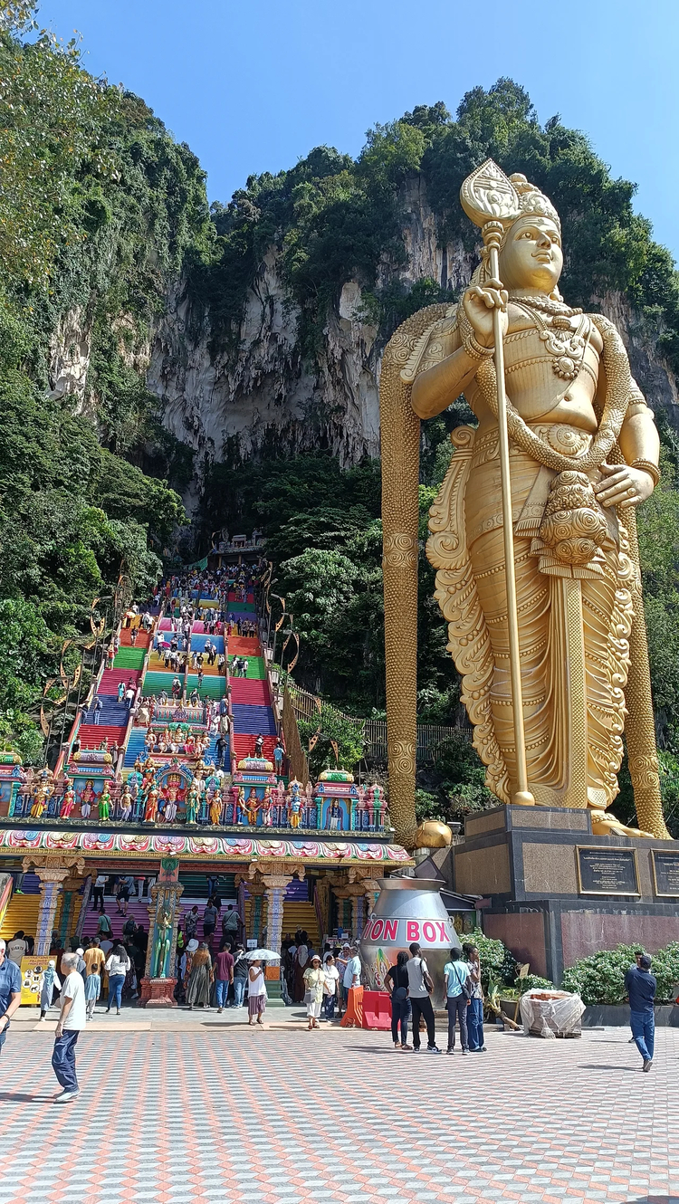 Cover media image