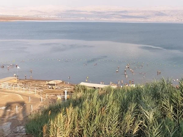 Shore Excursion: Ashdod port to Masada & Dead Sea Basin