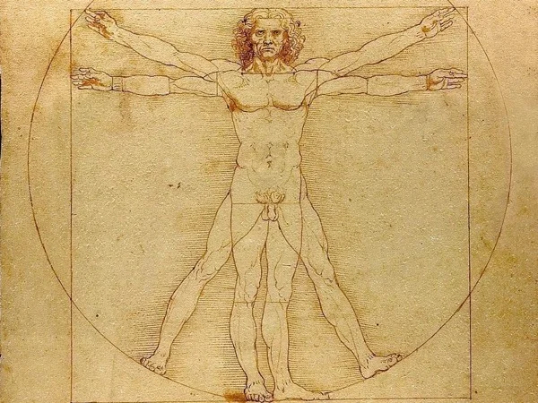 Cover media image