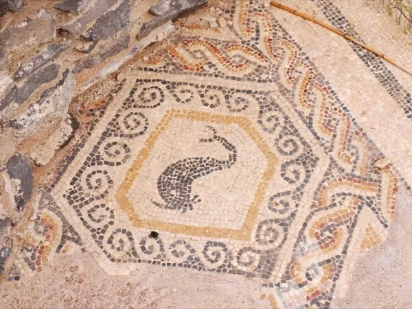Private tour of Nazareth and the lower Galilee