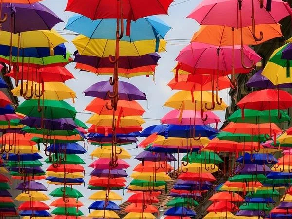 Multiday French Riviera & Provence - Private services
