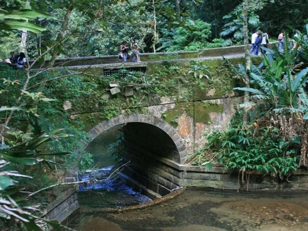 Cover media image