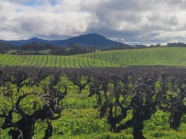 Sonoma & the Russian River Valley