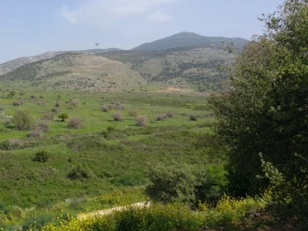 Israel Multi-Day Private Tour