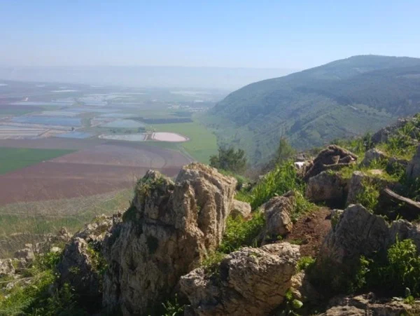Private Nature Hike from Jerusalem