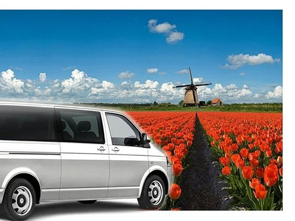 Cover media image
