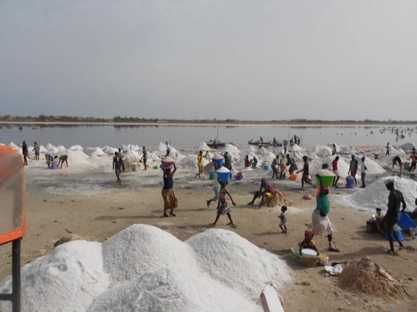 Half-Day Pink Lake Trip from Dakar