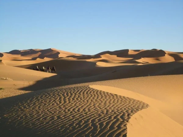 Multi-day Tour of Marrakech - Ait Ben Hadou - Draa Valley - Echigaga dunes