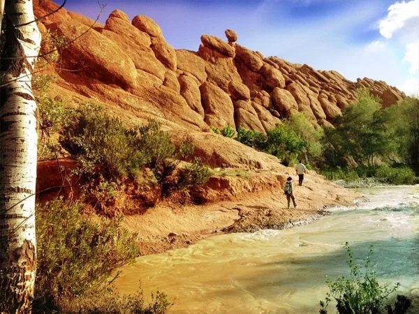 Multi-day Tour of the Desert & the Atlas mountains