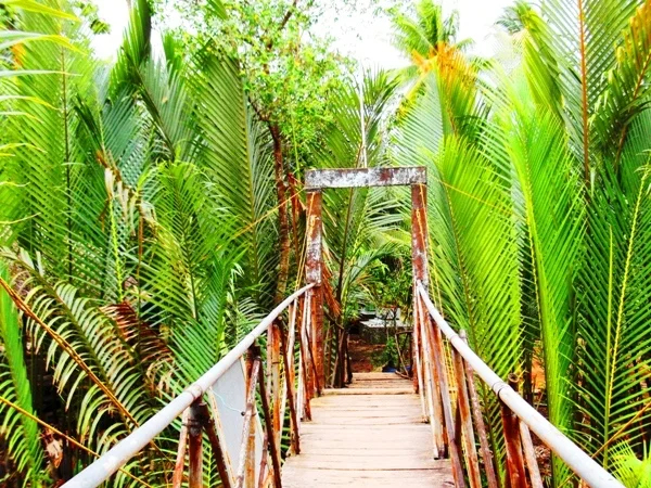 Cu Chi Tunnels and Mekong Delta, Extended Tour from Ho Chi Minh