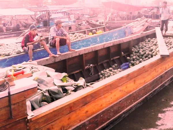 Mekong Delta Farmstay - The Riverside Charming Villages (2 Days)