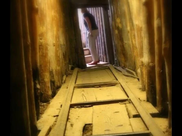 Personalised Half Day Tunnel and Olympic Mountains Tour