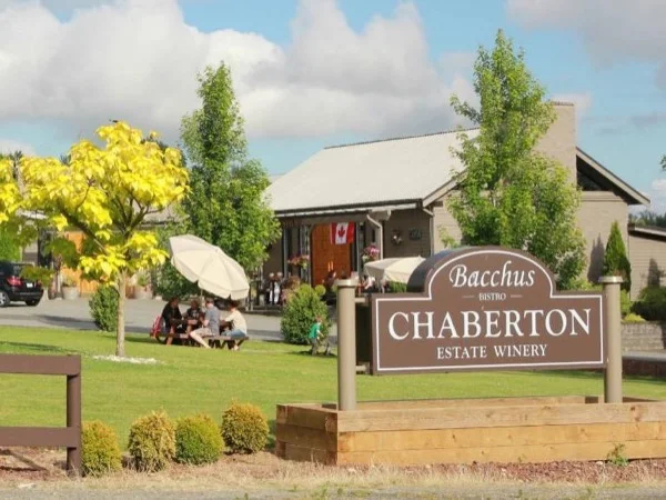 Private Tour of Langley Wineries