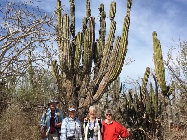 Los Cabos Desert Ecology Half Day Tour