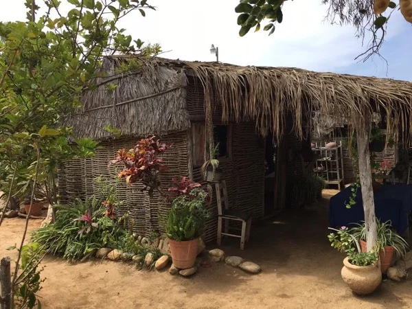 La Paz Countryside & rancho experience 5 hrs.