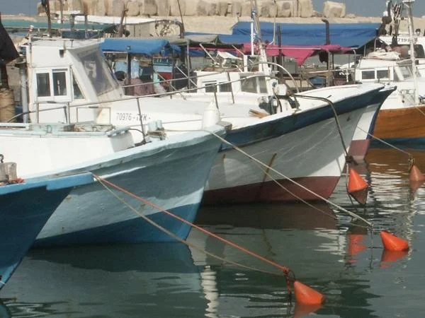 Tel Aviv Highlights Private Tour