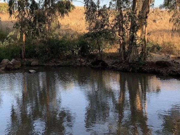 Adventures in the Golan Heights - Private Tour from Tel Aviv