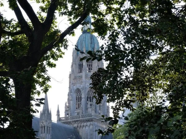 Cover media image