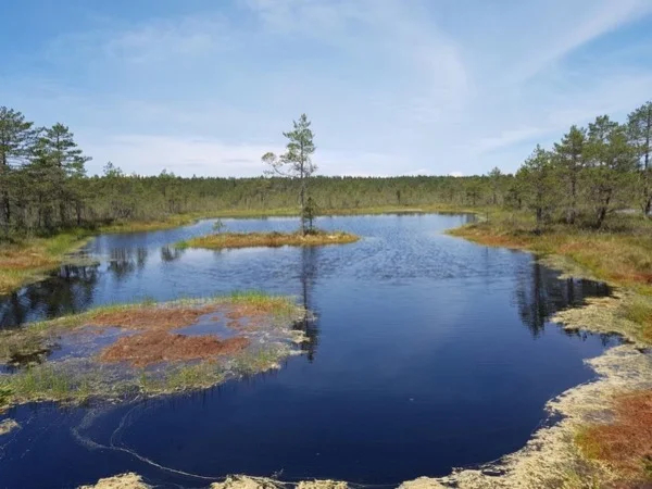 Northern Estonia Tour - Full Day