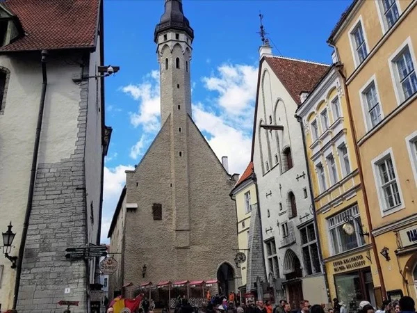 Tallinn and Countryside: Private shore excursion